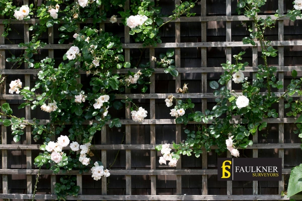 Can I put trellis on my Neighbours garage wall? 2 Do you want to adapt your neighbours garage door and add a trellis Milton-Keynes? Talk to Faulkner Surveyor Milton-Keynes